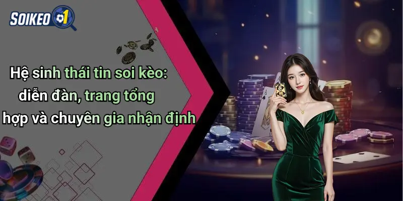 Hệ sinh thái tin soi kèo: diễn đàn, trang tổng hợp và chuyên gia nhận định