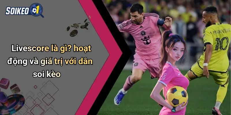 Livescore là gì? hoạt động và giá trị với dân soi kèo