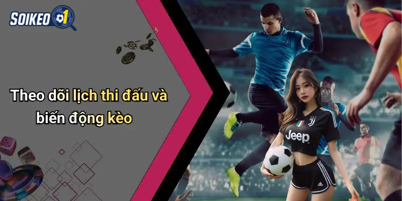 Theo dõi lịch thi đấu và biến động kèo