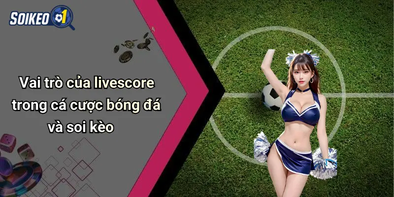 Vai trò của livescore trong cá cược bóng đá và soi kèo