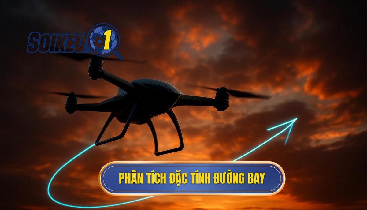 Phân tích Chuyên sâu về Đặc tính Đường bay